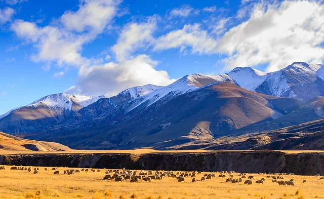 Arthur's Pass National Park