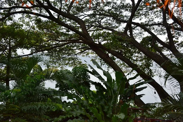 Apoyo Lagoon Natural Reserve (Laguna de Apoyo)