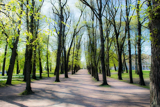 Oslo Palace Park (Slottsparken)