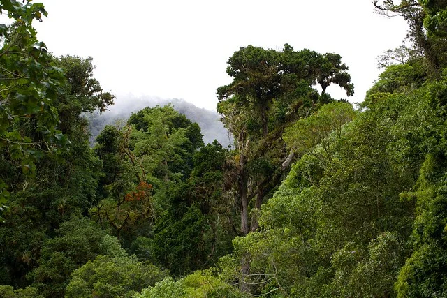 Barú Volcano National Park