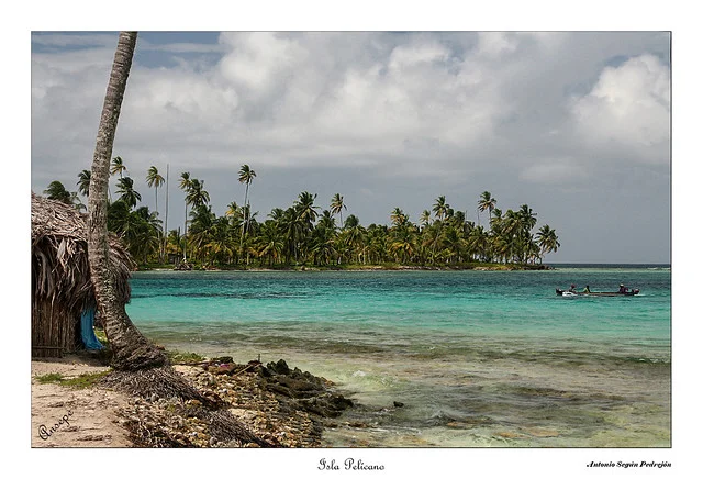 Isla Pelicano