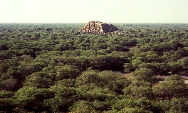 Pómac Forest Historic Sanctuary