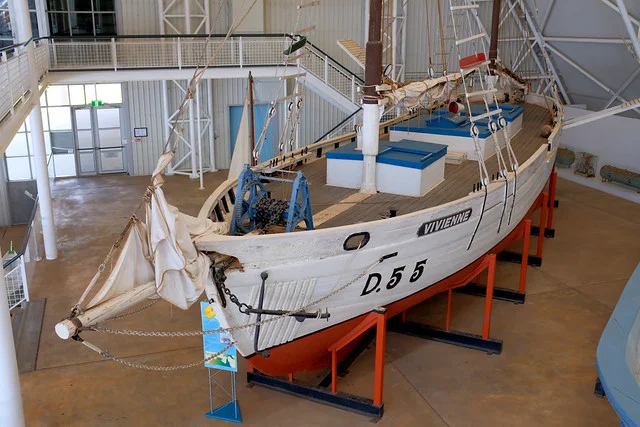 Museum and Art Gallery of the Northern Territory (MAGNT) - TernTour