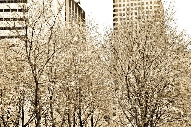 Victoria Square