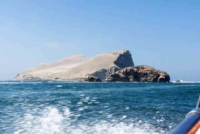 Palomino Island