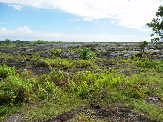 Sale'aula Lava Fields