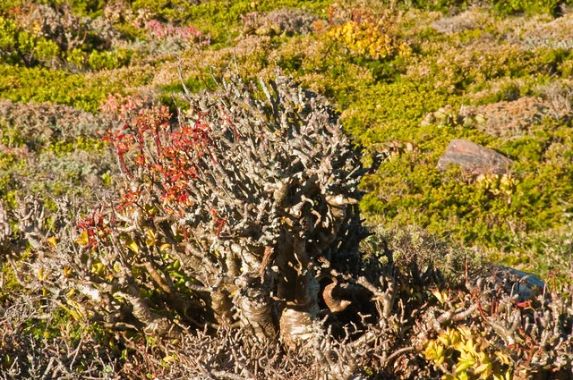 Cape Point