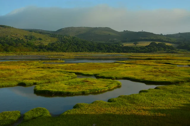 Knysna