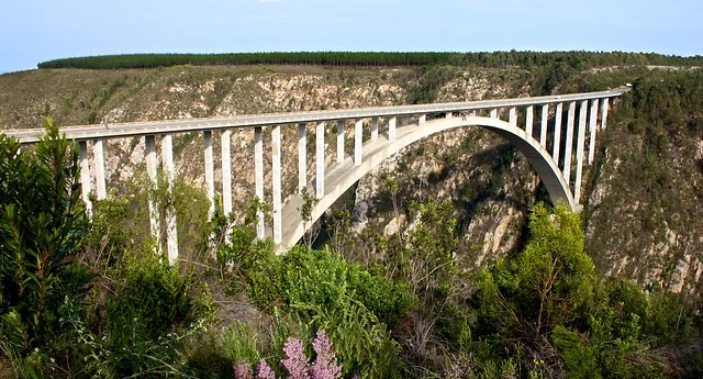 Bloukrans Bridge