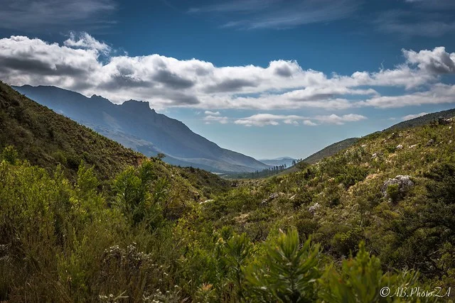 Jonkershoek Nature Reserve