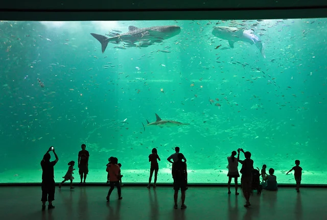 Hanwha Aqua Planet Jeju