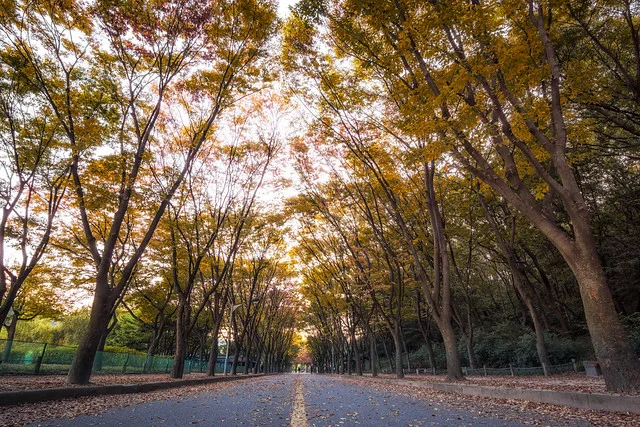 Incheon Grand Park