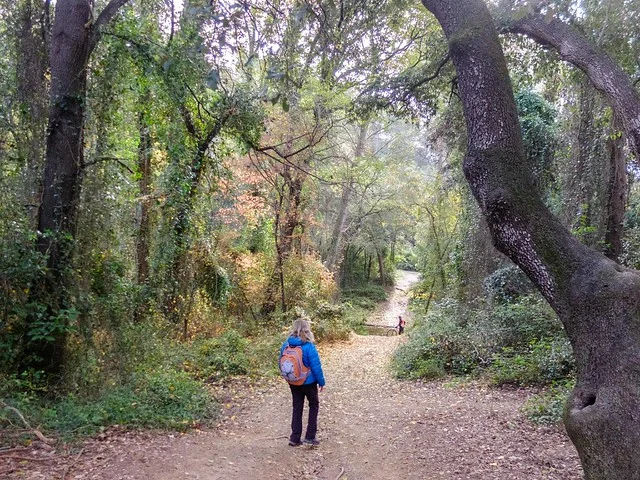 Collserola Park (Parc de Collserola)