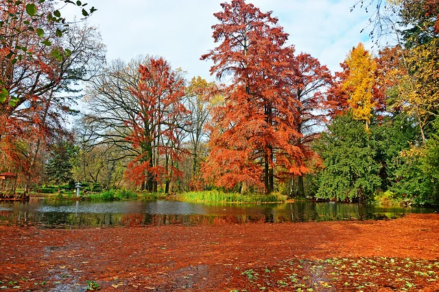 Botanical Gardens