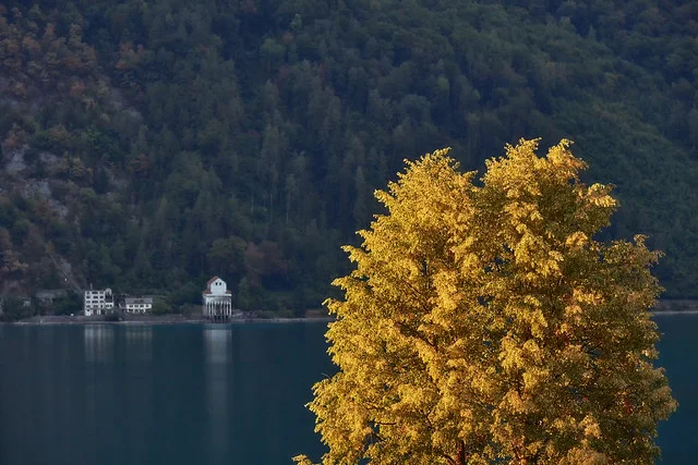 Lake Walen (Walensee)