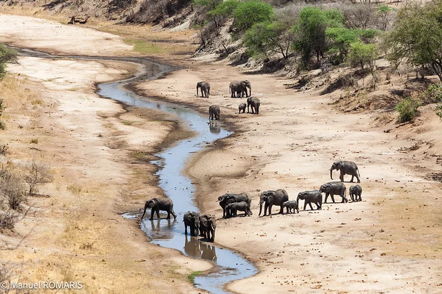 Tarangire National Park