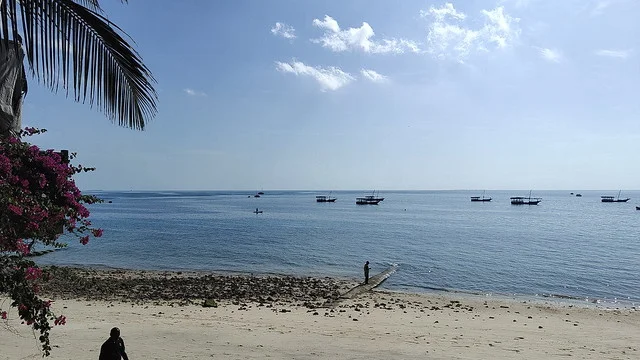 Stone Town