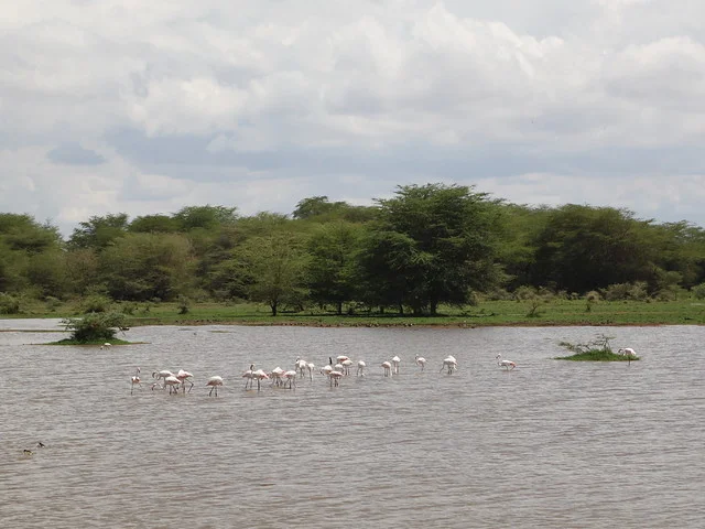 Lake Manyara National Park