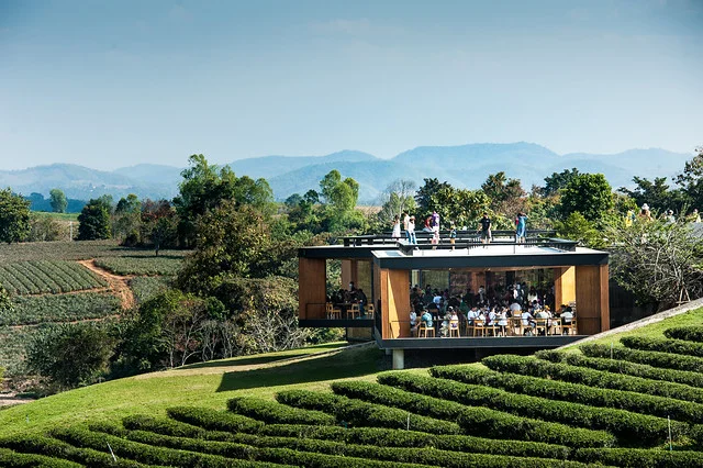 Choui Fong Tea Plantation