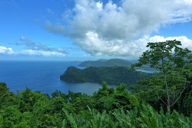 Maracas Bay