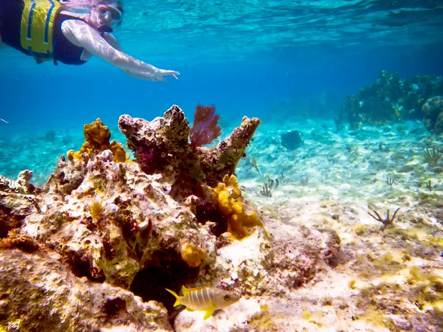 Deadman's Reef (Paradise Cove)