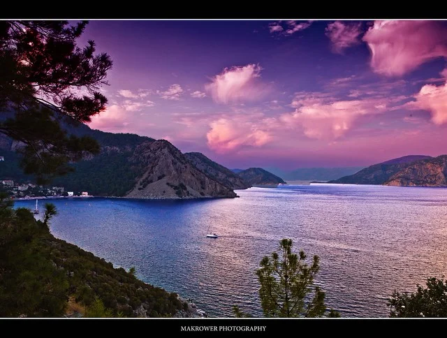 Turunç