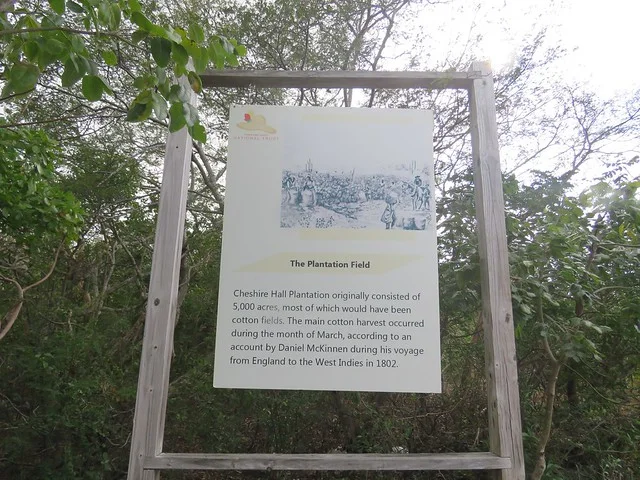 Cheshire Hall Plantation