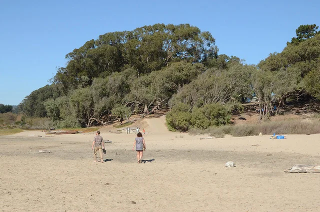 Yas Beach