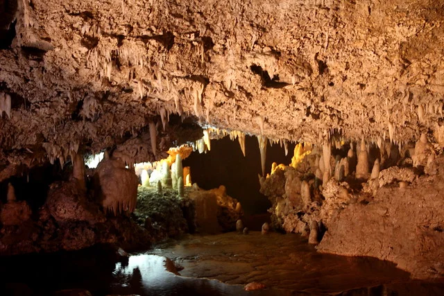 Harrison's Cave