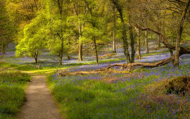 Loch Lomond & the Trossachs National Park