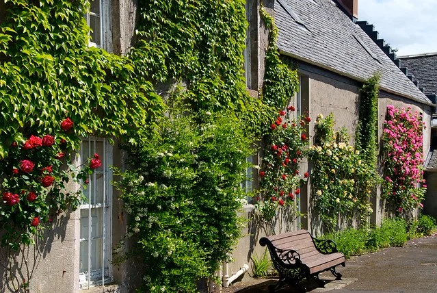 Geilston Garden