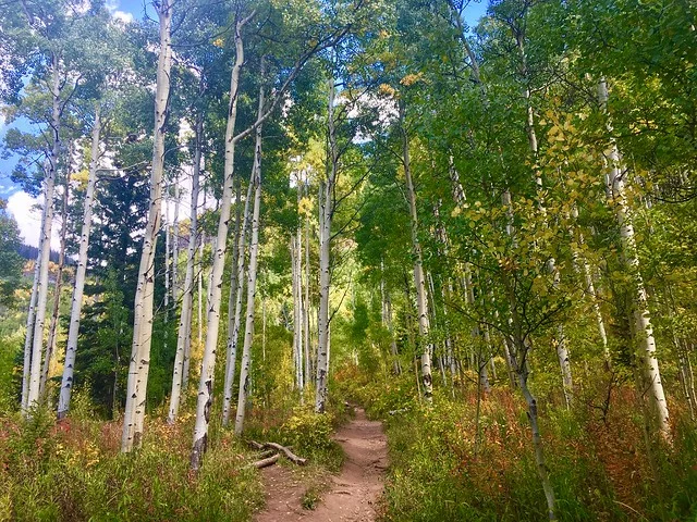 Booth Falls Trail