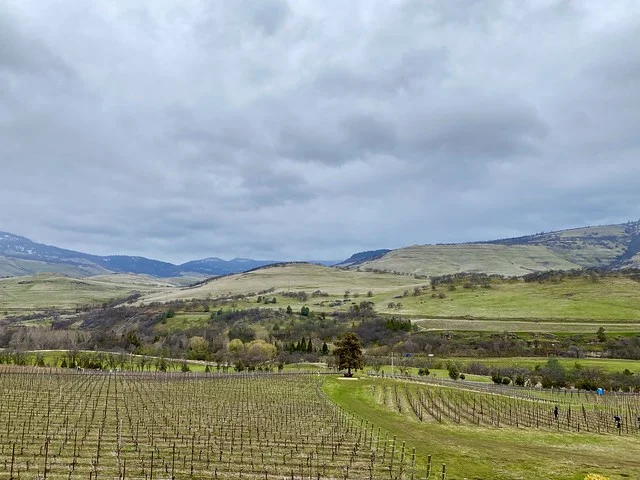 Irvine & Roberts Vineyards