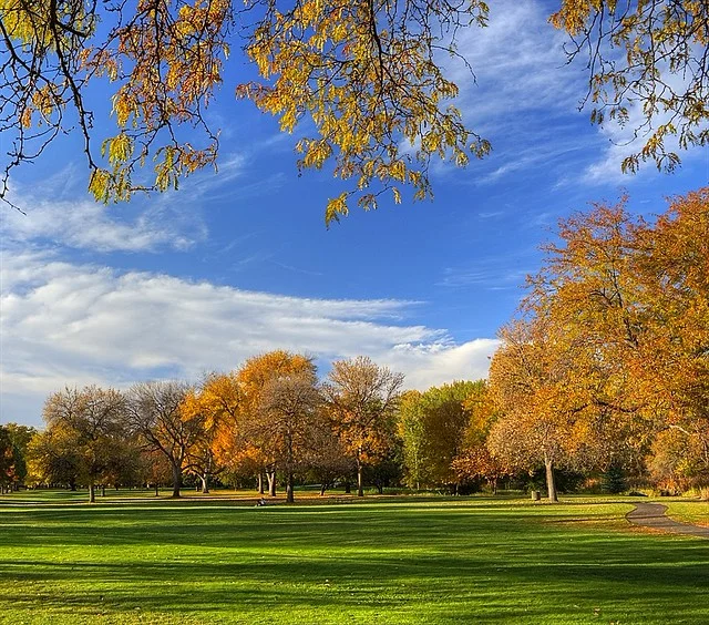 Ann Morrison Park