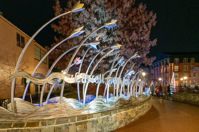 Carroll Creek Park