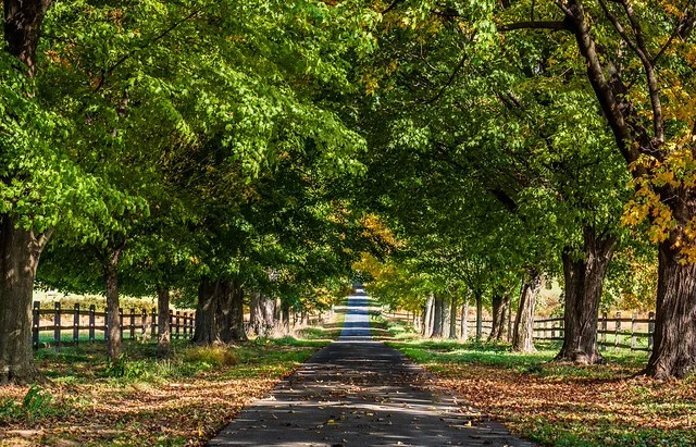 Monocacy National Battlefield