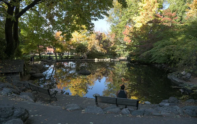 Lithia Park