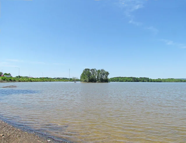 Lake Martin Rookery