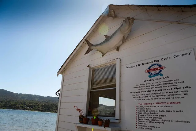 Tomales Bay Oyster Company