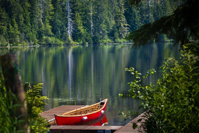 Tongass National Forest