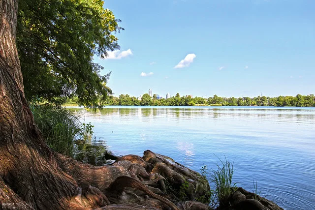 Lady Bird Lake
