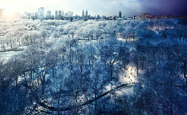 Central Park