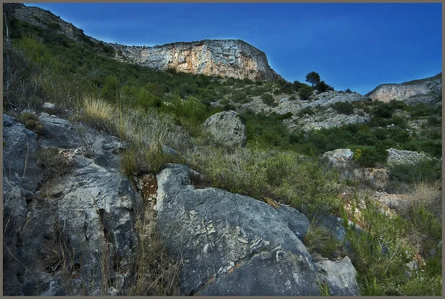 Mountain Pine Ridge Forest Reserve