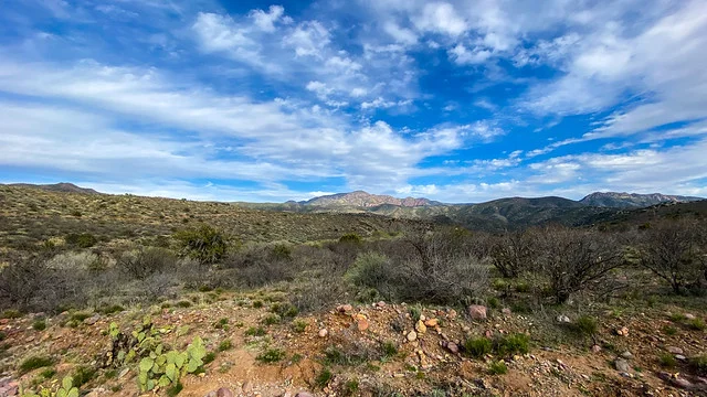 Tonto National Forest