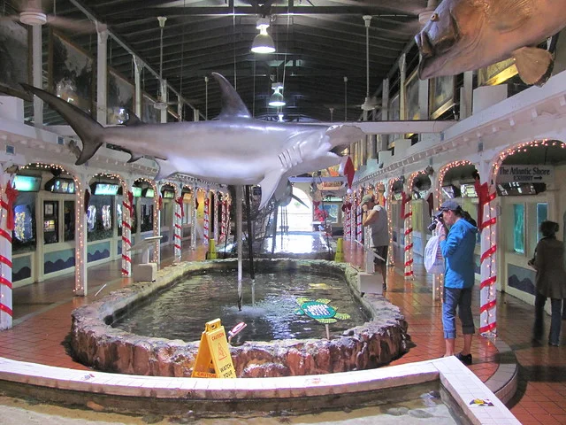 Key West Aquarium