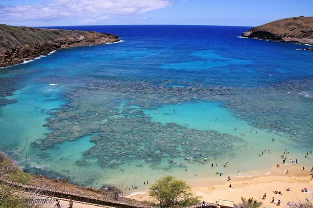 Hanauma Bay