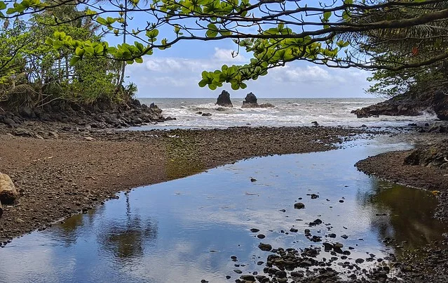 Onomea Bay
