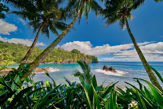 Hawaii Tropical Botanical Garden