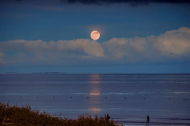 Isla de la Luna