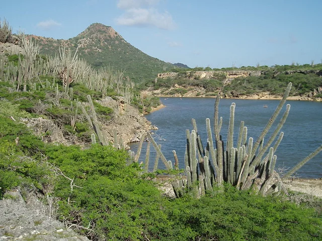 Bonaire National Marine Park